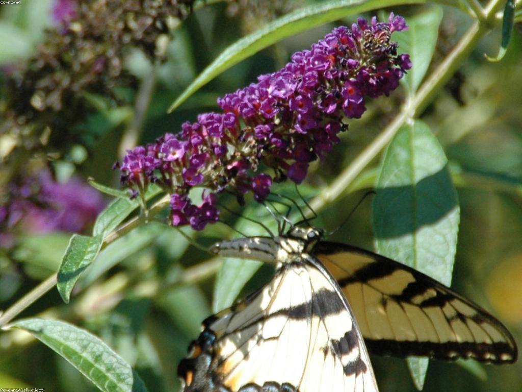 យុទ្ធសាស្ត្រ និងគន្លឹះសម្រាប់ទីផ្សារដែលមានប្រសិទ្ធភាព