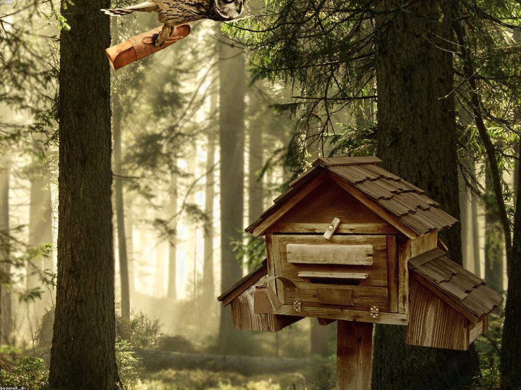 ការប្រកួតបញ្ជូន: គន្លឹះសំរាប់ការបញ្ជូនក្នុងការប្រកួត