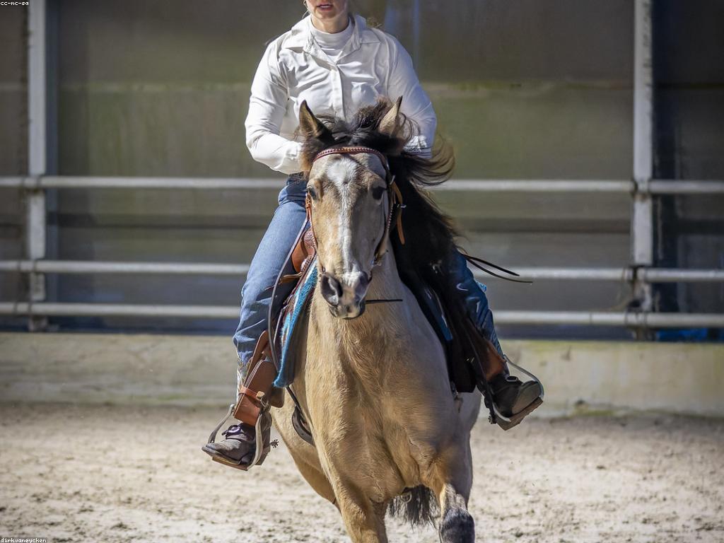 សារសំខាន់នៃការពិនិត្យស្លុតនៅក្នុងកីឡា