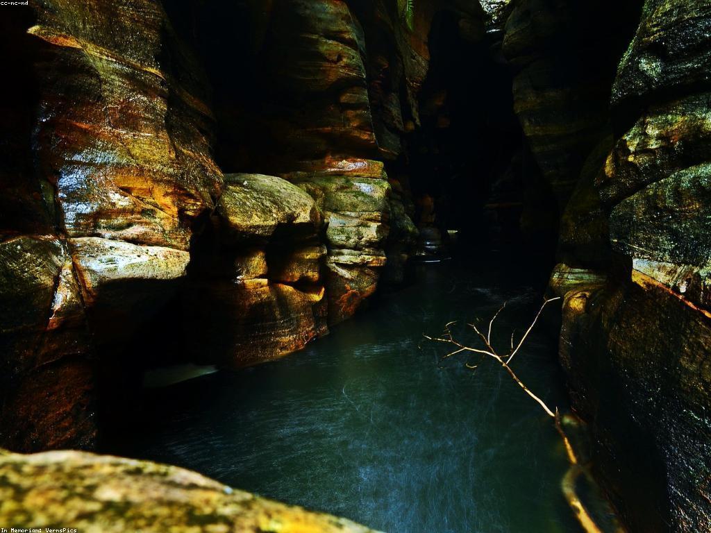 សារៈសំខាន់នៃការពិនិត្យស្លុតក្នុងការស៊ើបអង្កេត